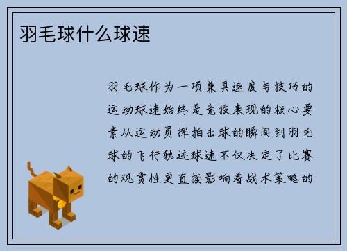 羽毛球什么球速